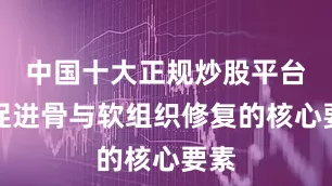 中国十大正规炒股平台是促进骨与软组织修复的核心要素