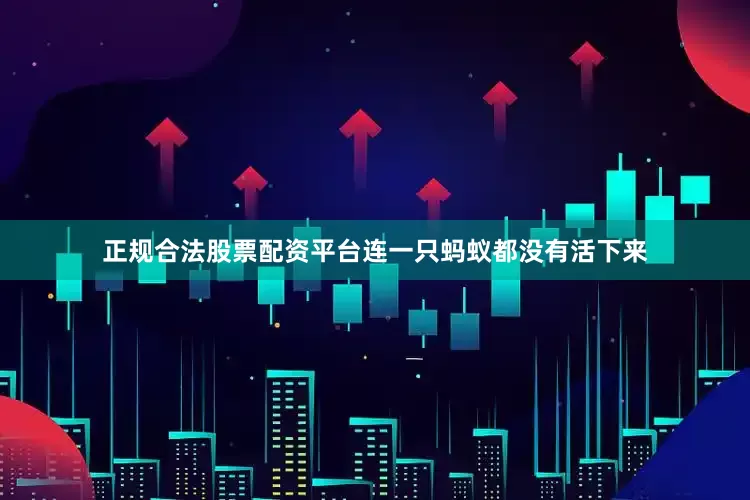 正规合法股票配资平台连一只蚂蚁都没有活下来