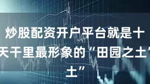 炒股配资开户平台就是十天干里最形象的“田园之土”