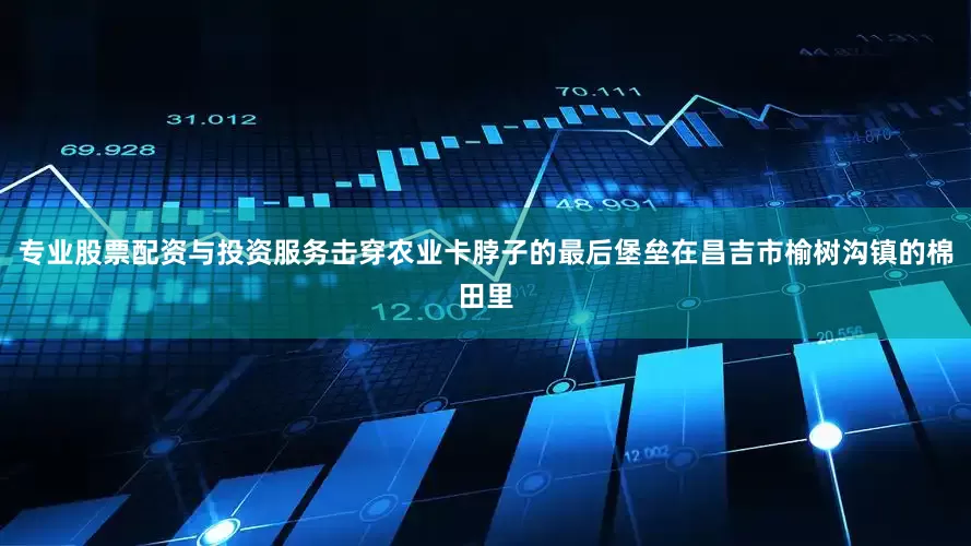 专业股票配资与投资服务击穿农业卡脖子的最后堡垒在昌吉市榆树沟镇的棉田里