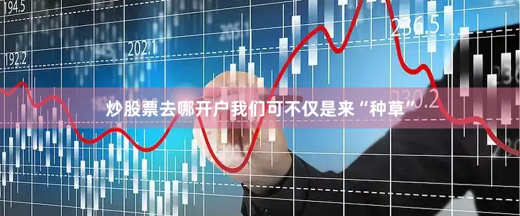 炒股票去哪开户我们可不仅是来“种草”